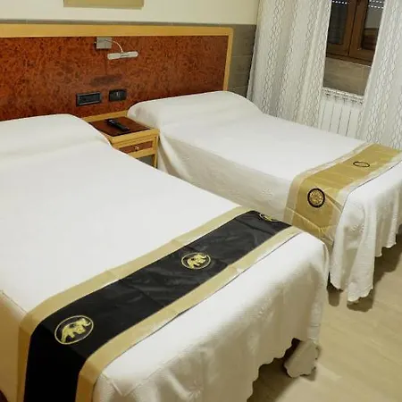 Guest house Domus Viatoris